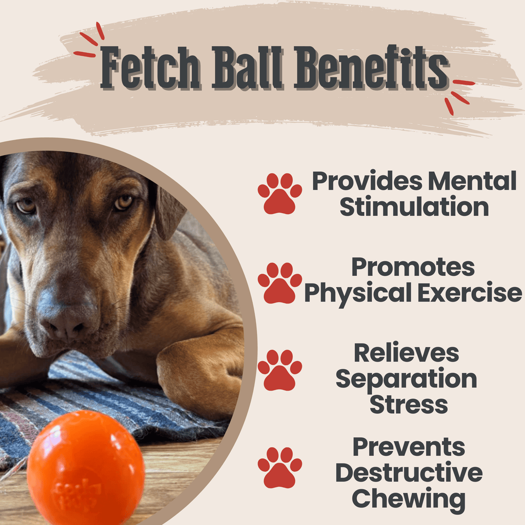 Dog Fetch Balls - Elite Pet Collective