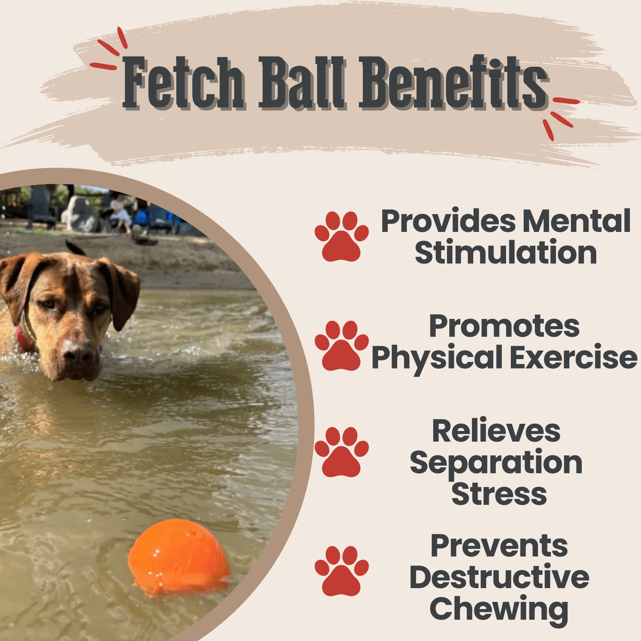 Dog Fetch Balls - Elite Pet Collective