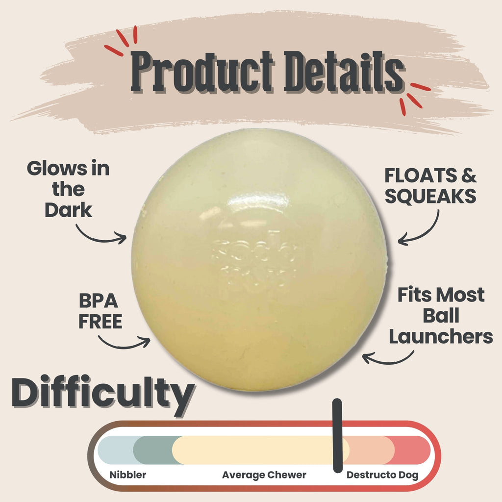 Dog Fetch Balls - Elite Pet Collective