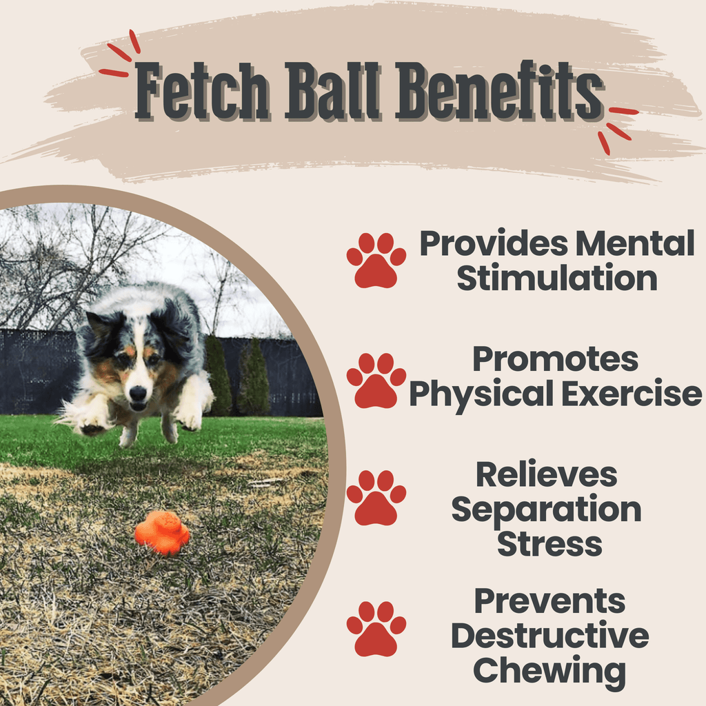 Dog Fetch Balls - Elite Pet Collective