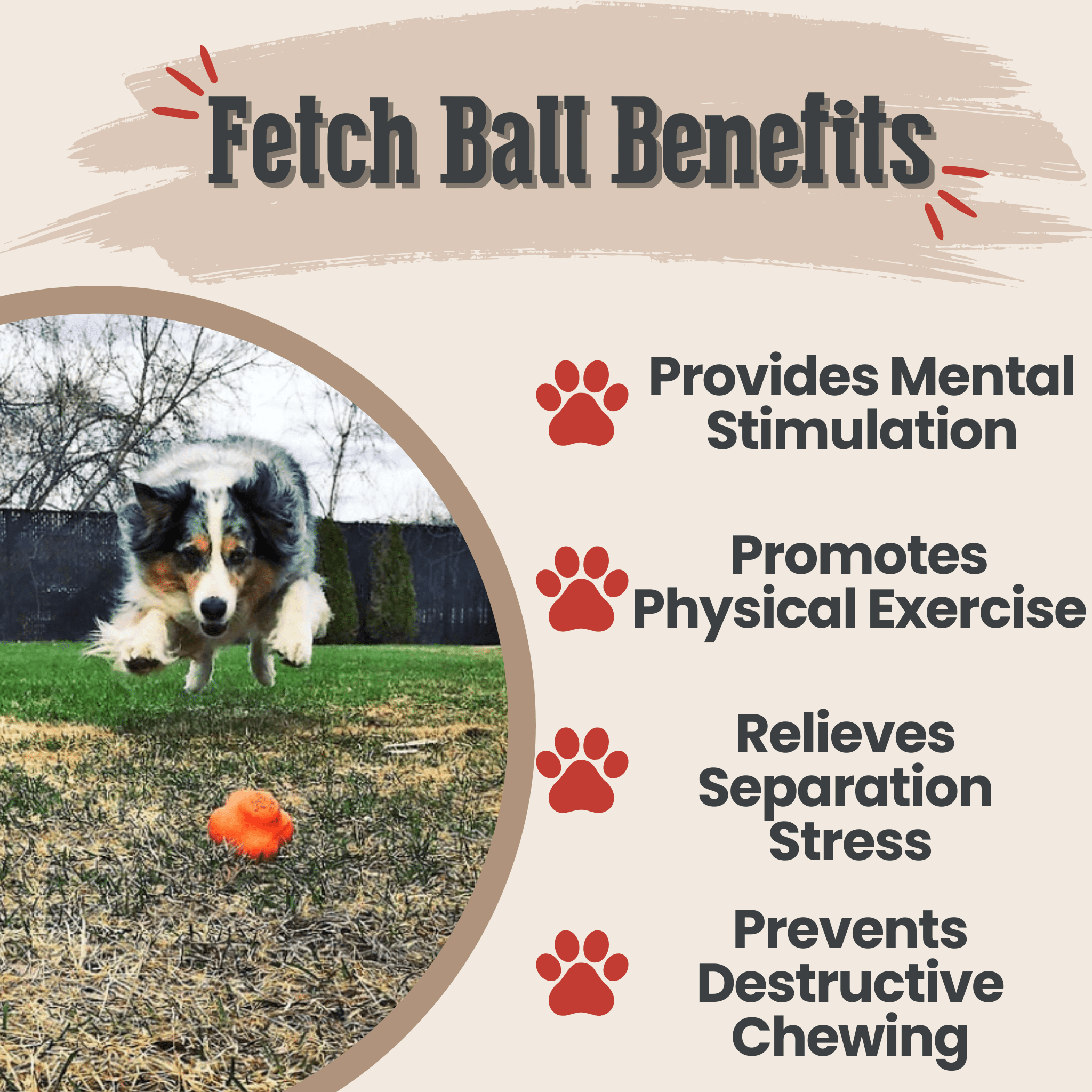 Dog Fetch Balls - Elite Pet Collective