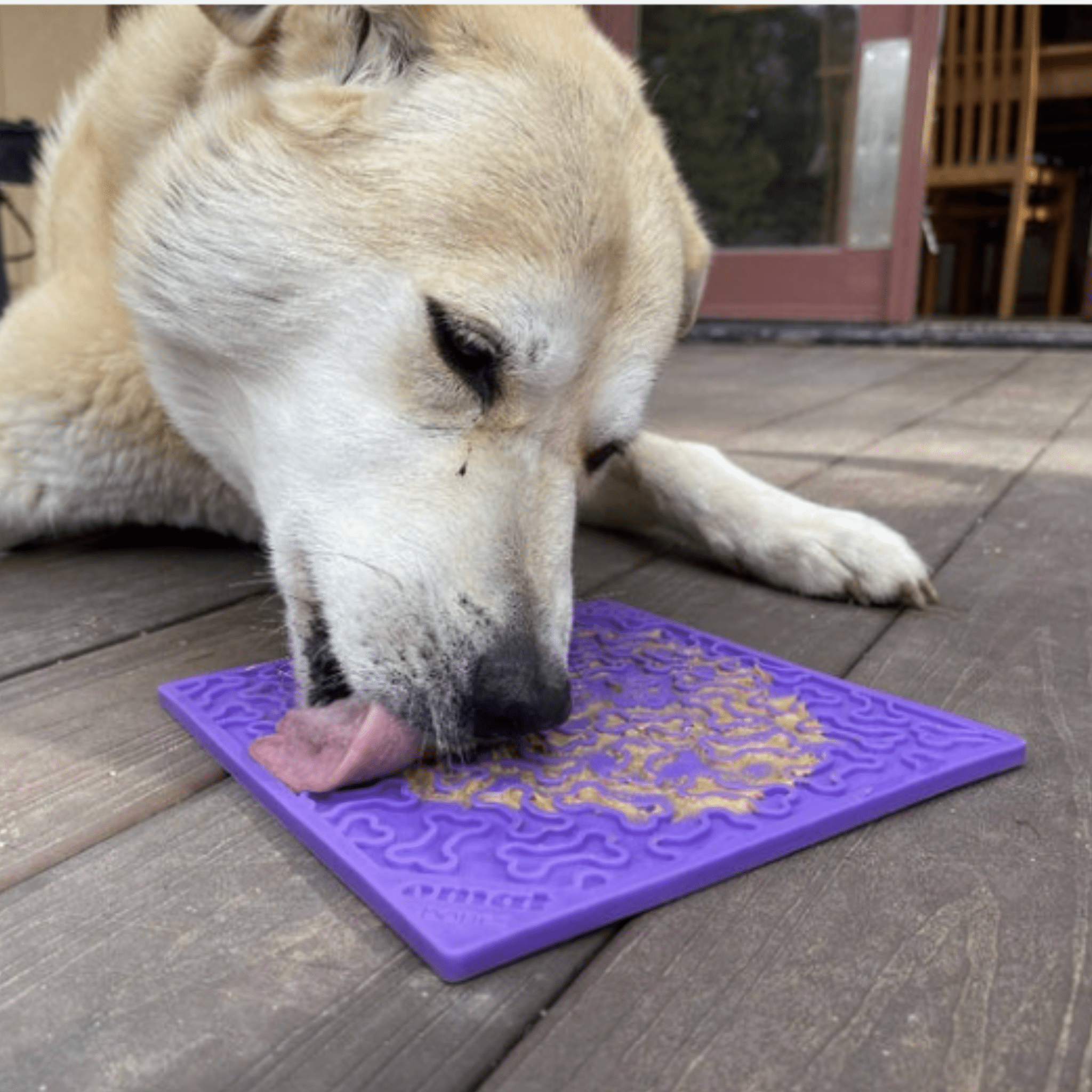 Dog Lick Mats - Elite Pet Collective