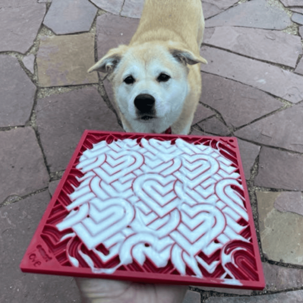 Dog Lick Mats - Elite Pet Collective
