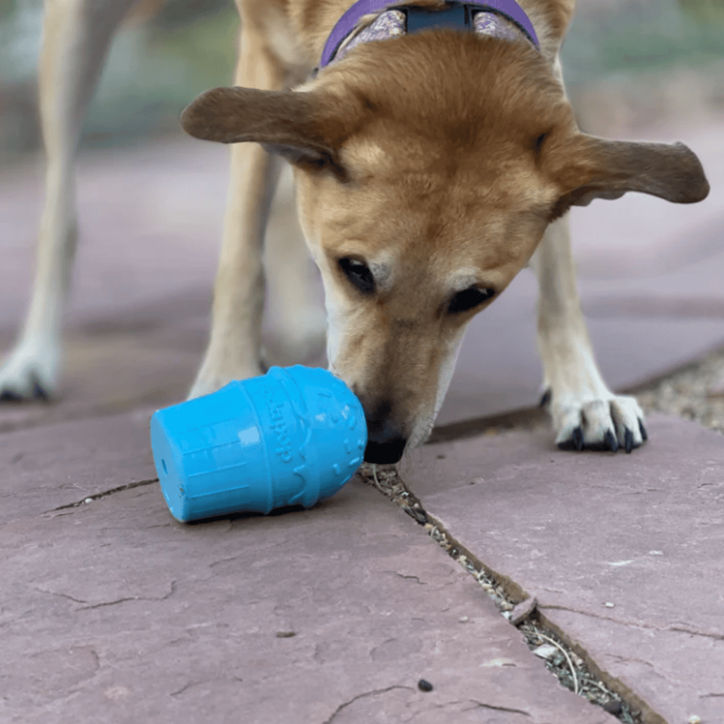 Dog Treat Dispensers - Elite Pet Collective