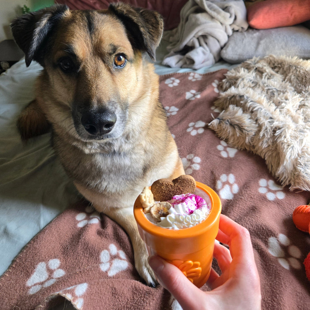 Dog Treat Dispensers - Elite Pet Collective