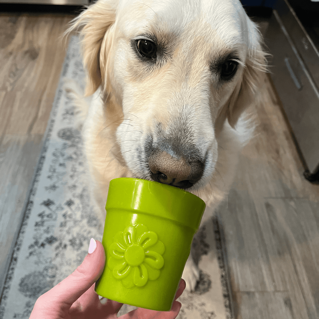 Dog Treat Dispensers - Elite Pet Collective