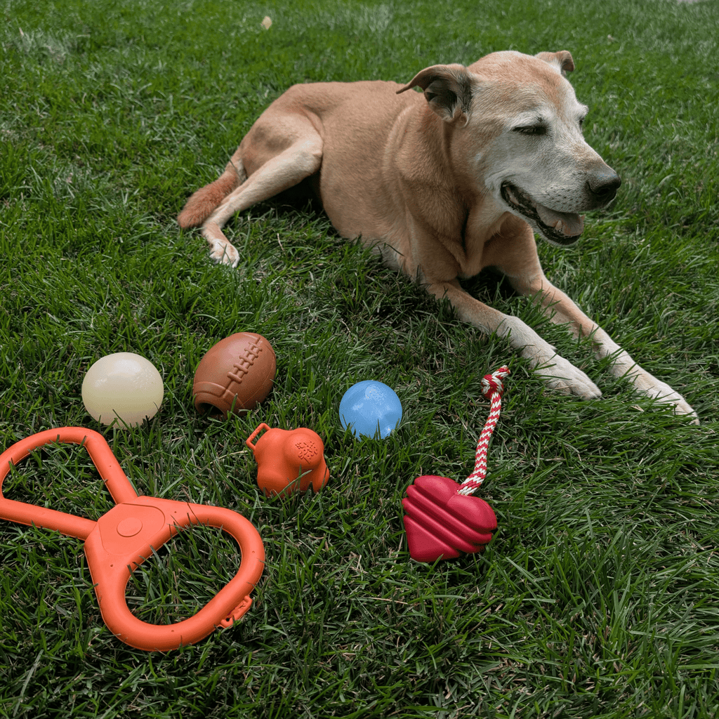 Chew Toys - Elite Pet Collective