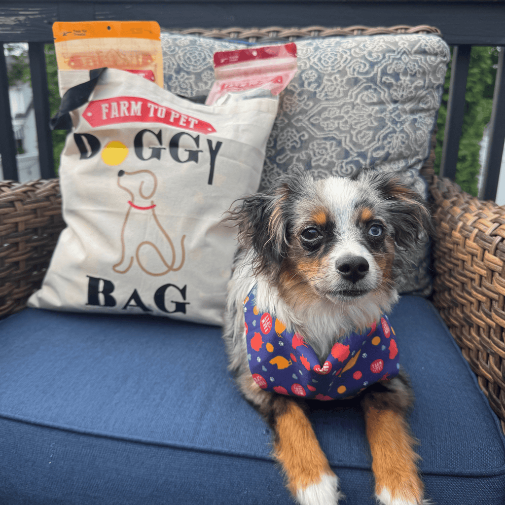 Farm To Pet Tote Bag | Paw-some Gift for Animal Lovers - Elite Pet Collective