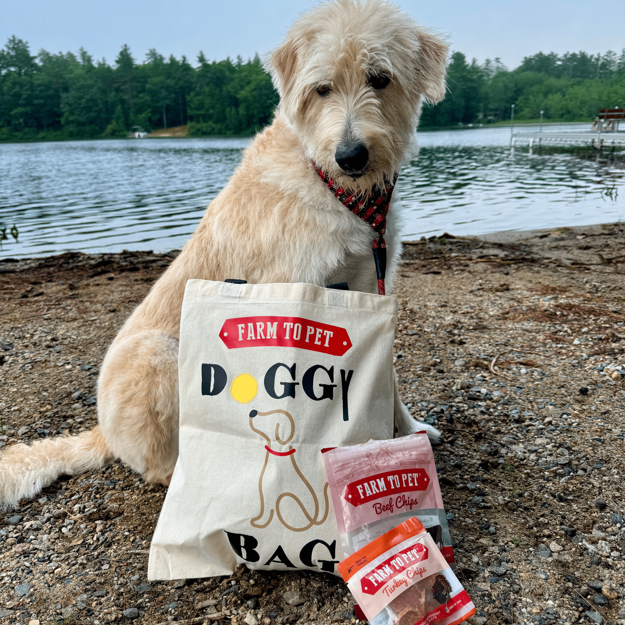 Farm To Pet Tote Bag | Paw-some Gift for Animal Lovers - Elite Pet Collective