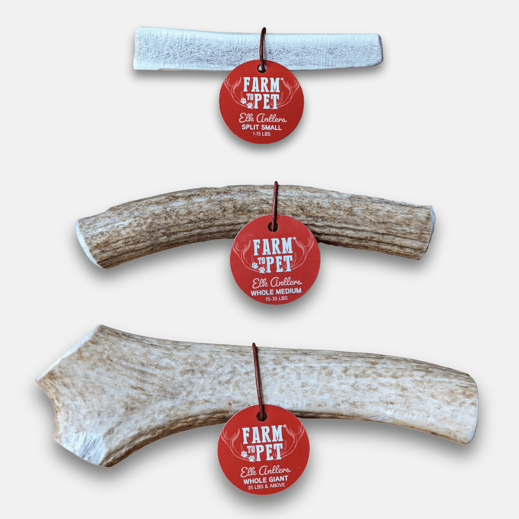 Elk Antler Dog Chews | All-Natural Whole and Split Elk Antler Chews for Dogs - Elite Pet Collective