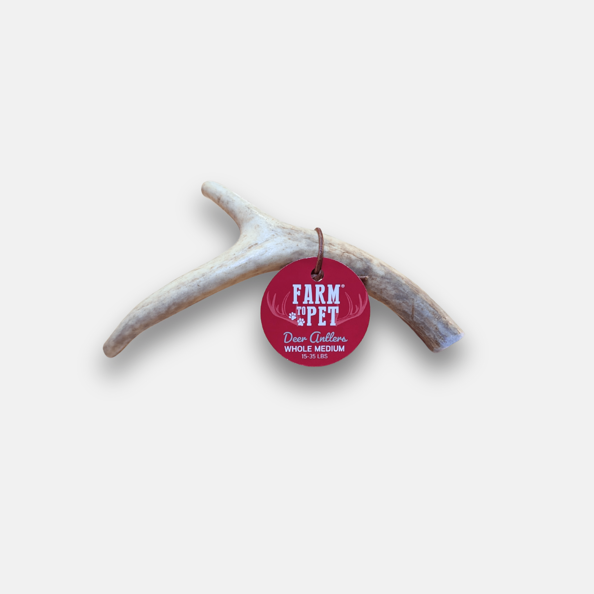 Deer Antler Dog Chews | Organic Chews for Dogs - Elite Pet Collective