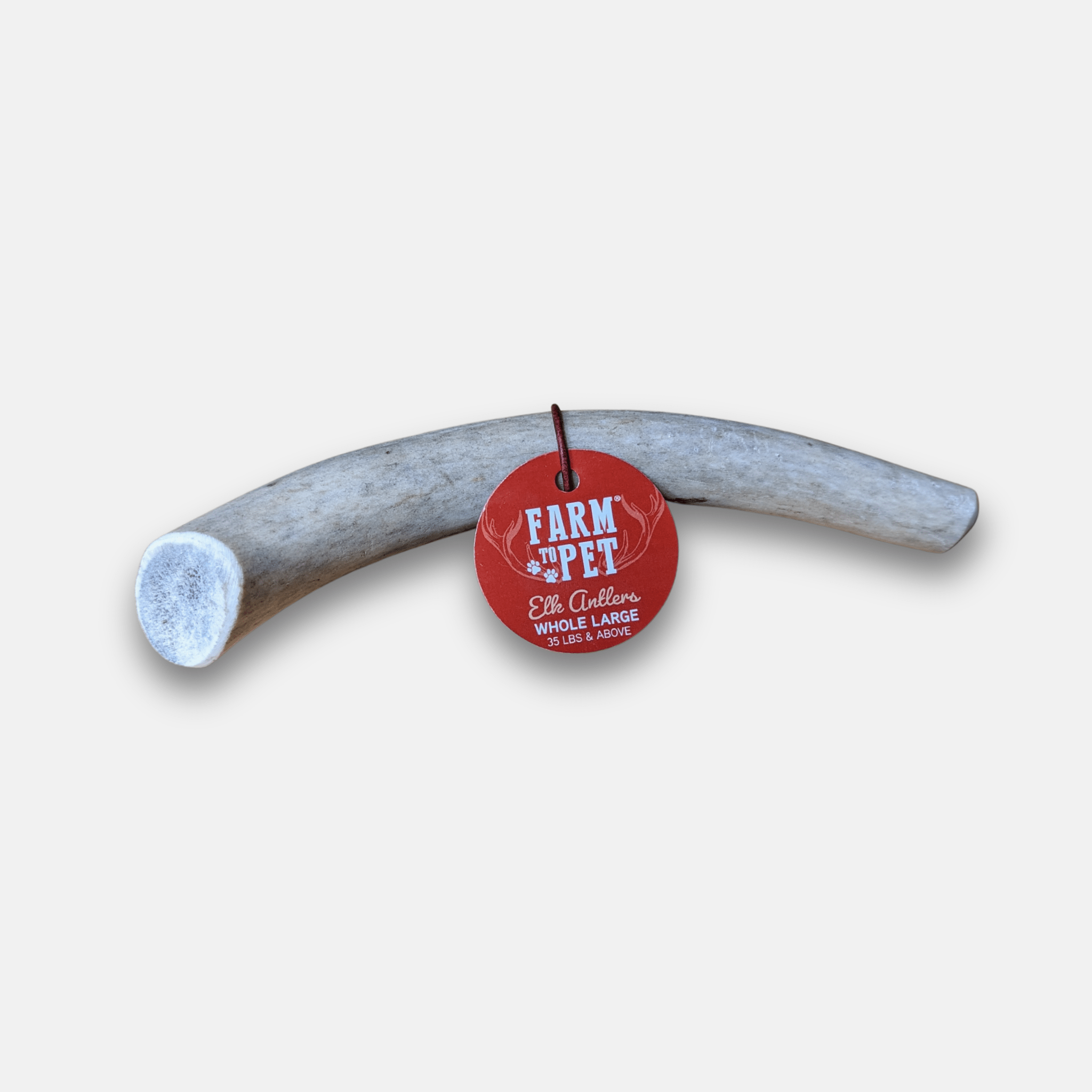 Elk Antler Dog Chews | All-Natural Whole and Split Elk Antler Chews for Dogs - Elite Pet Collective