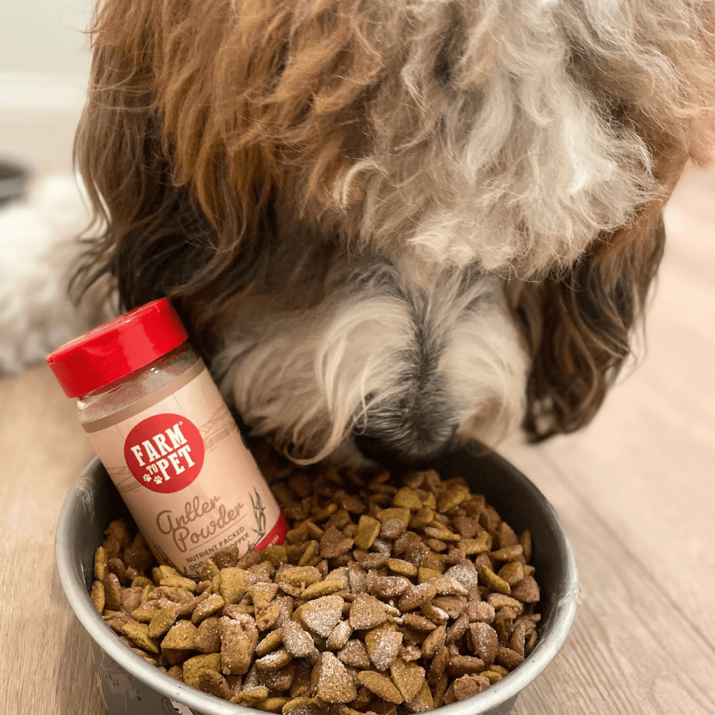 Treat Topper Antler Powder Dog Food Topper | Nutritional Supplement for Dogs and Cats - Elite Pet Collective