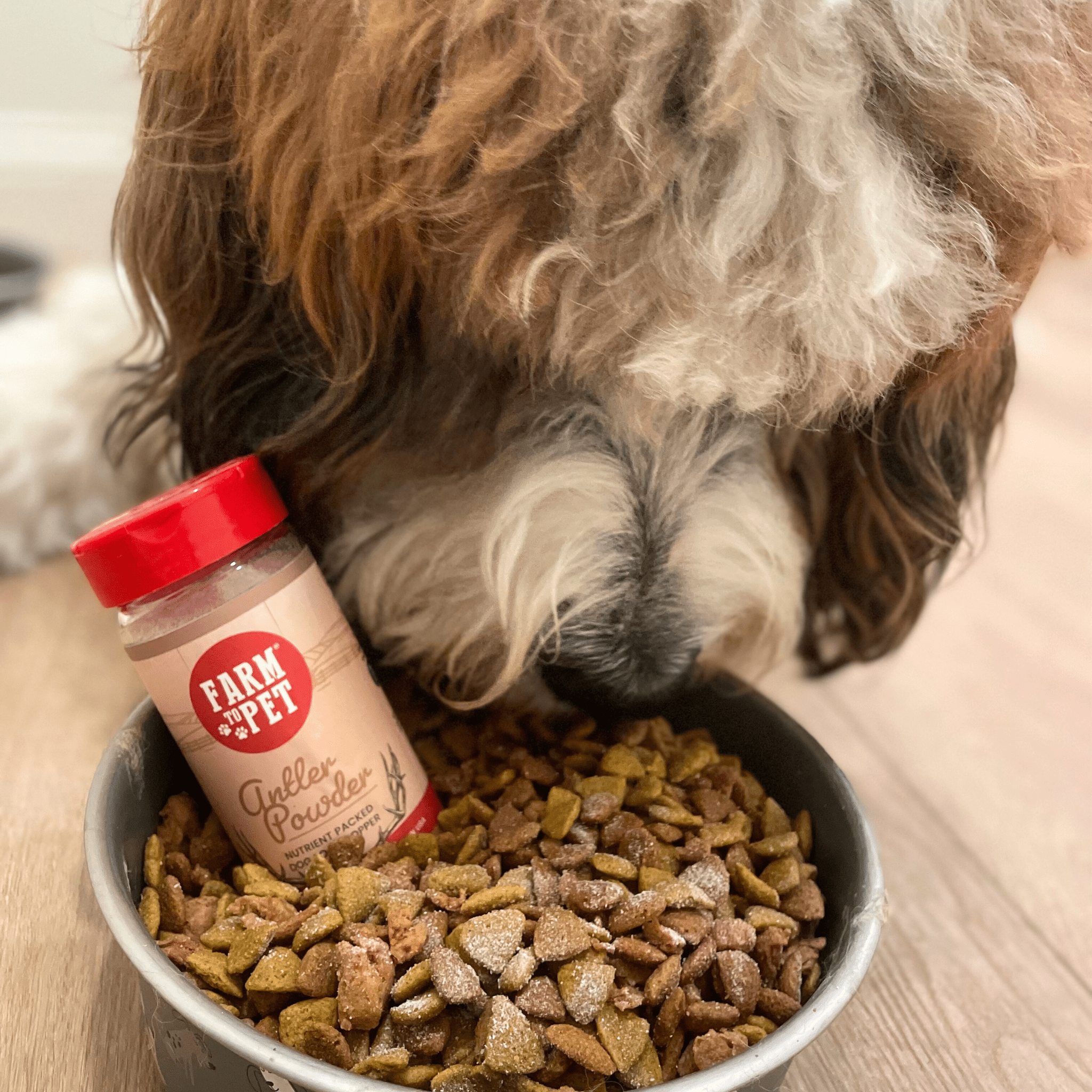 Treat Topper Antler Powder Dog Food Topper | Nutritional Supplement for Dogs and Cats - Elite Pet Collective