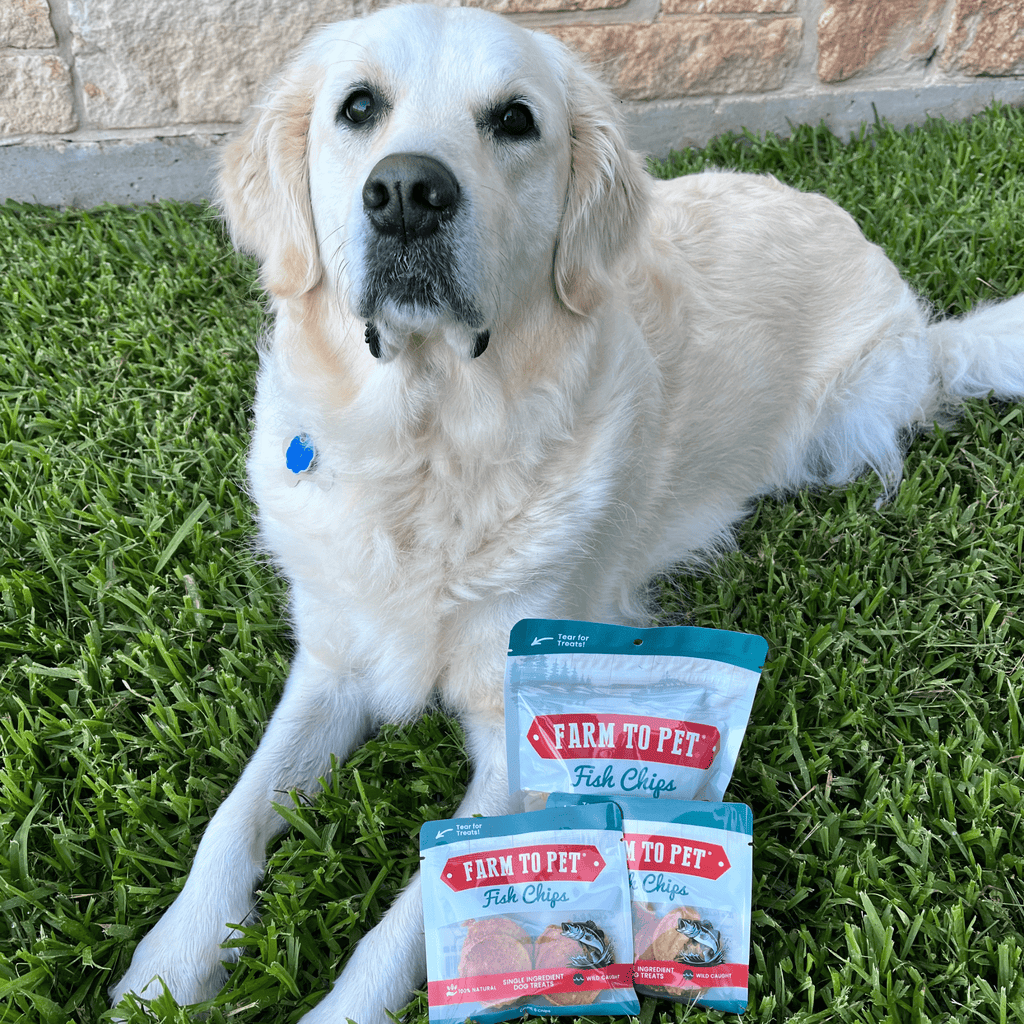 Fish Chips Snack Pack Bundles | Dog Treats for Training & Travel - Elite Pet Collective