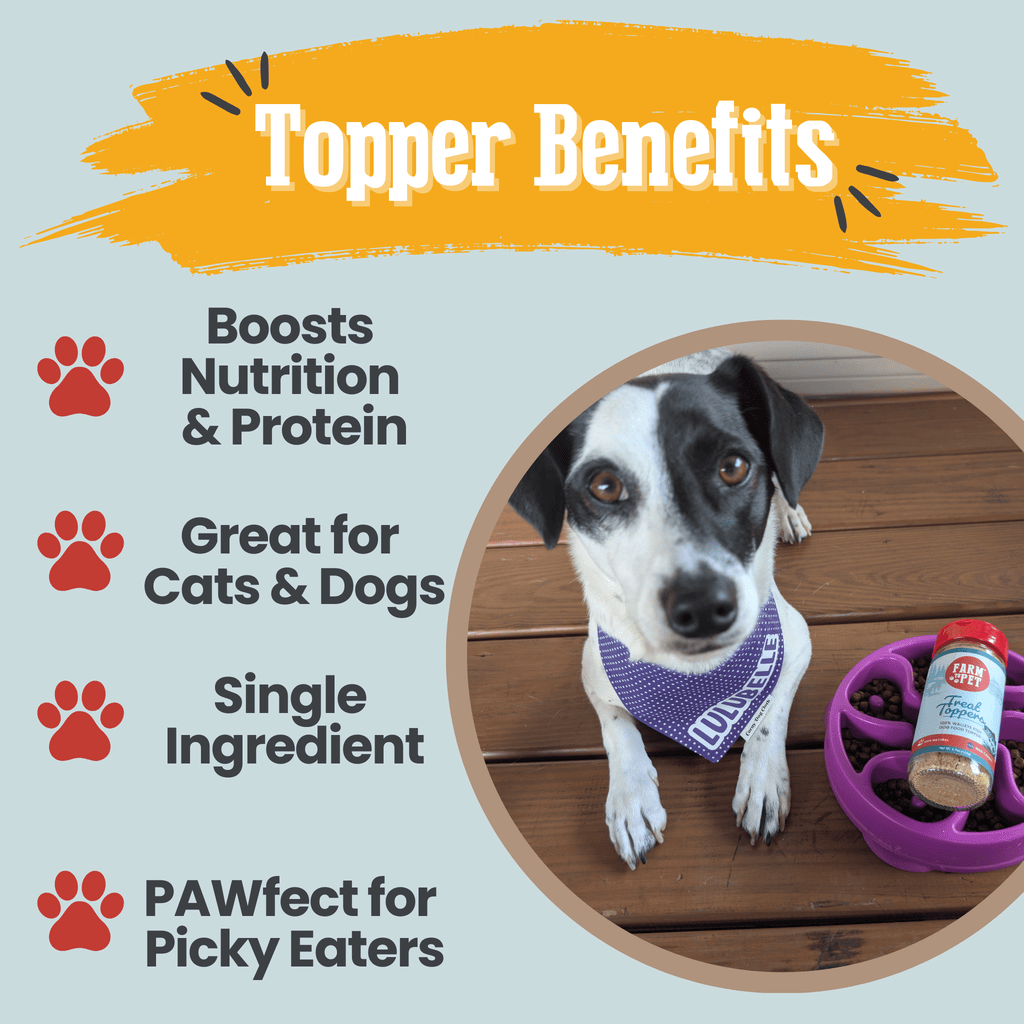 Treat Topper Fish Dog Food Topper | Low-Fat Meal Topper for Pets - Elite Pet Collective