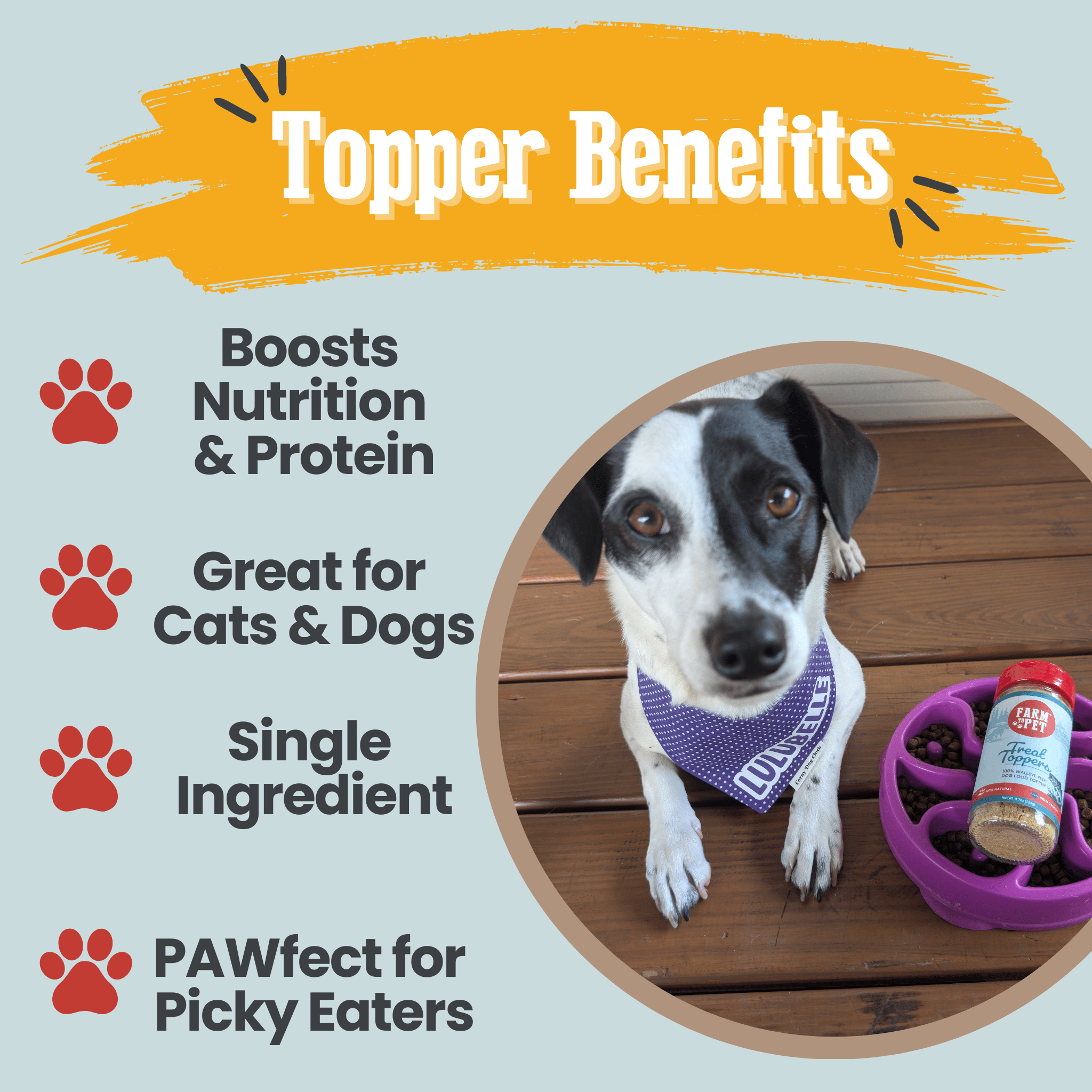 Treat Topper Fish Dog Food Topper | Low-Fat Meal Topper for Pets - Elite Pet Collective