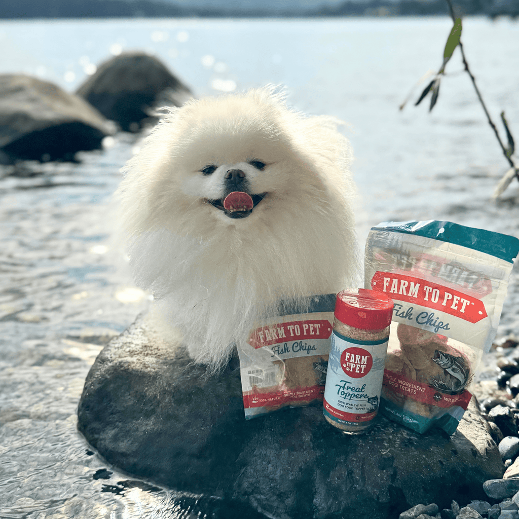 Treat Topper Fish Dog Food Topper | Low-Fat Meal Topper for Pets - Elite Pet Collective