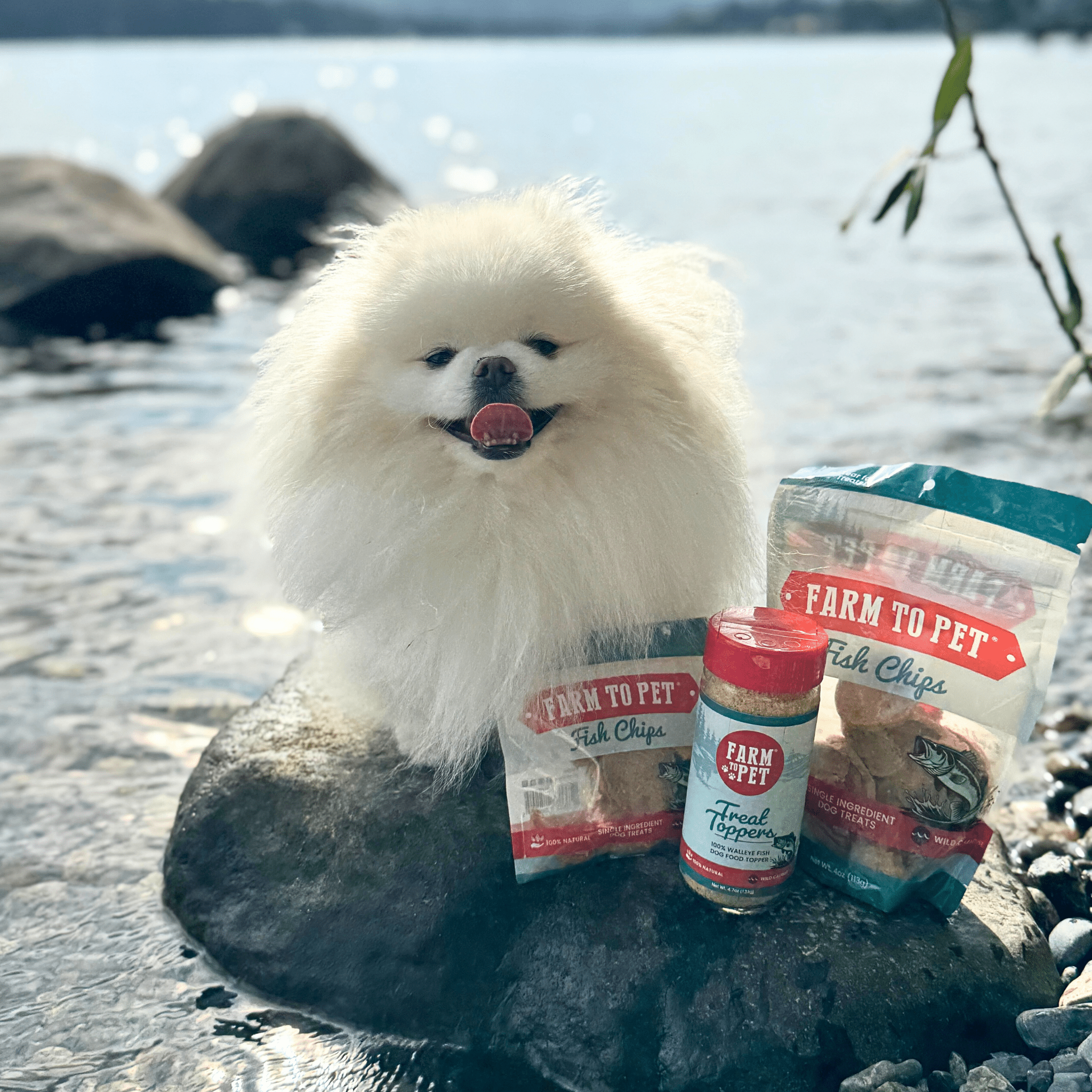 Treat Topper Fish Dog Food Topper | Low-Fat Meal Topper for Pets - Elite Pet Collective