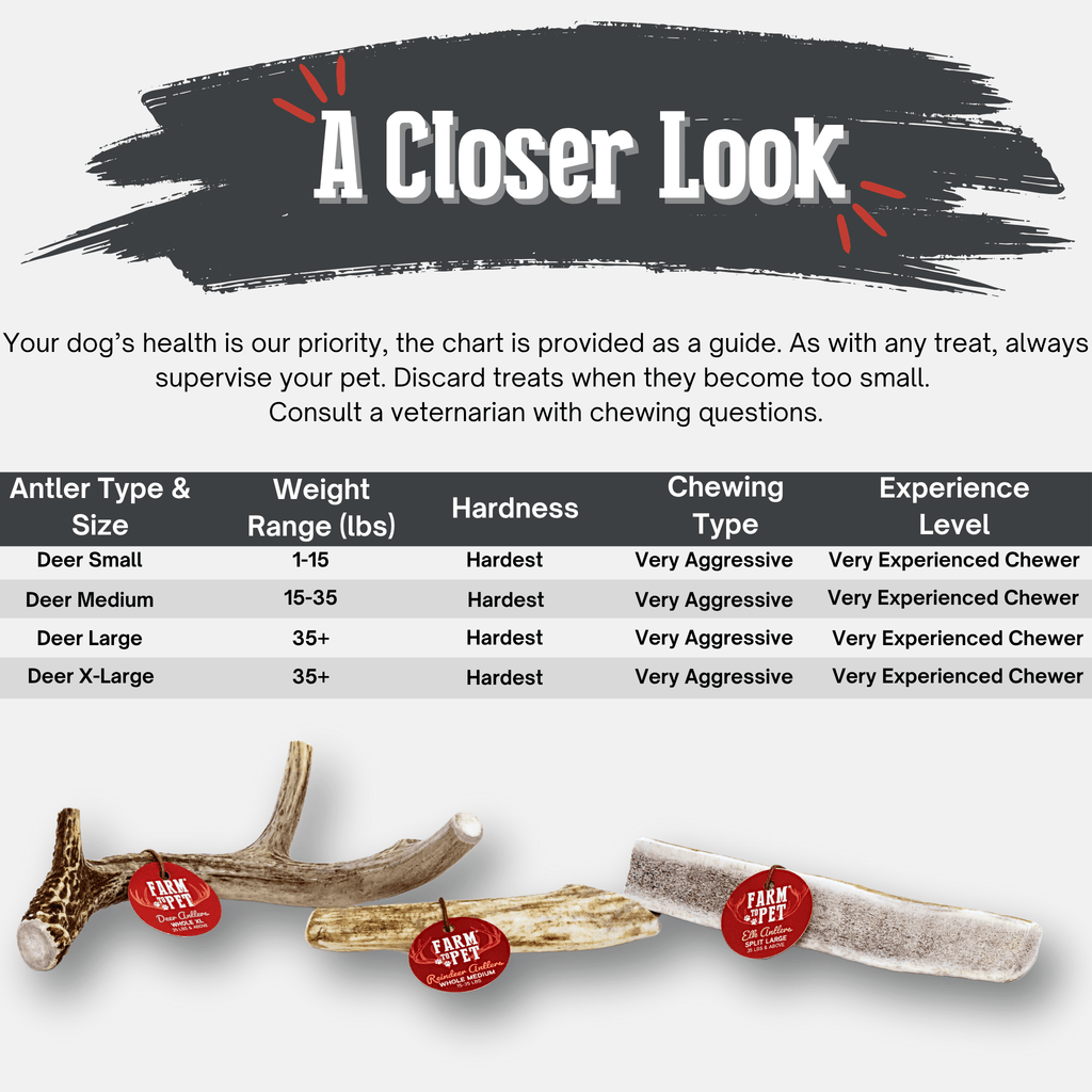 Deer Antler Dog Chews | Organic Chews for Dogs - Elite Pet Collective
