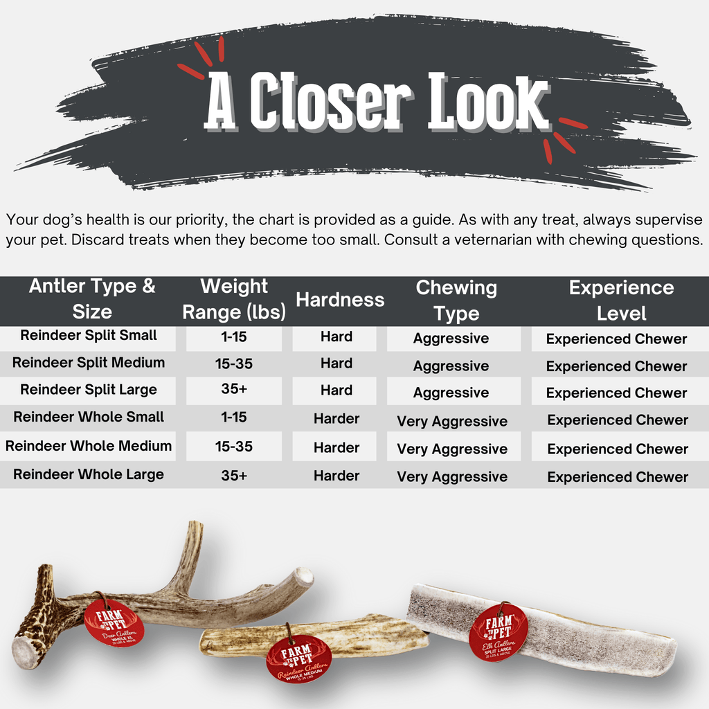 Reindeer Antler Dog Chews | Organic Chews for Dogs - Elite Pet Collective