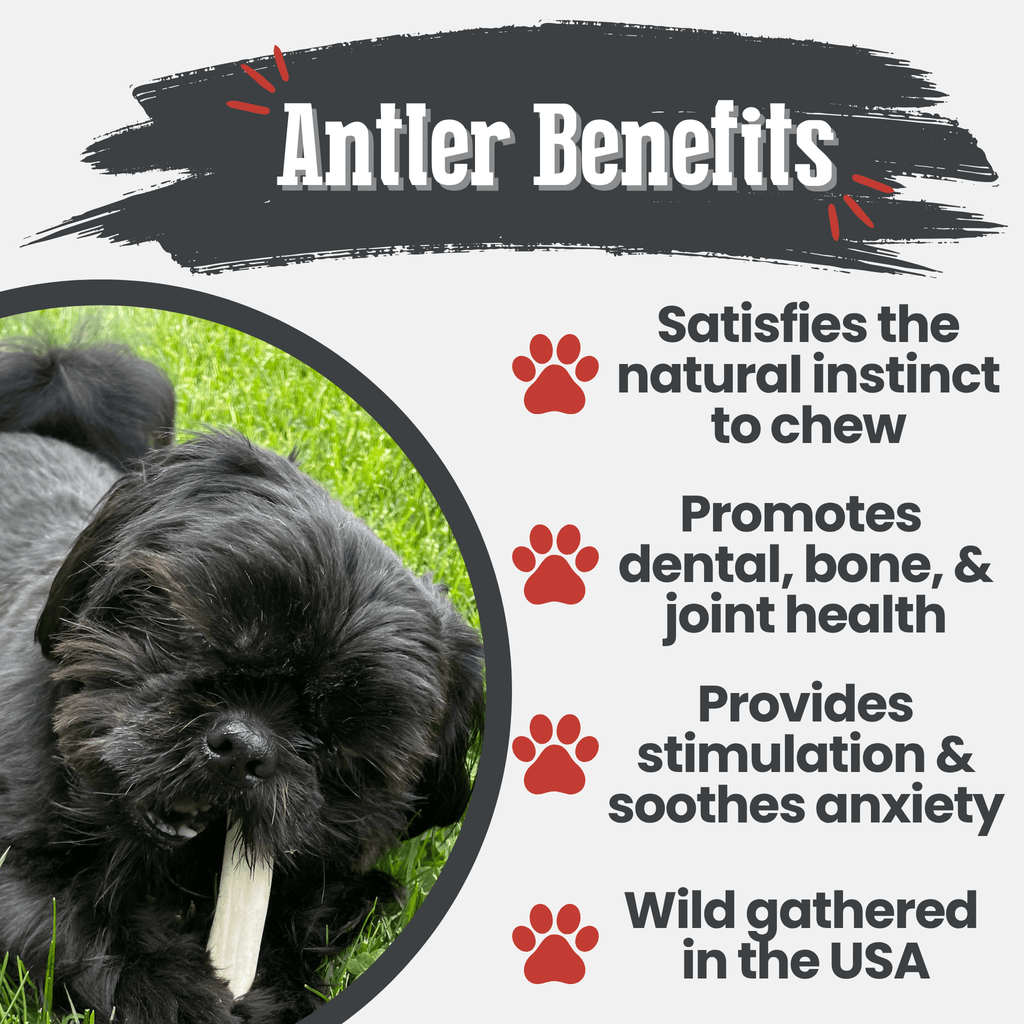 Reindeer Antler Dog Chews | Organic Chews for Dogs - Elite Pet Collective