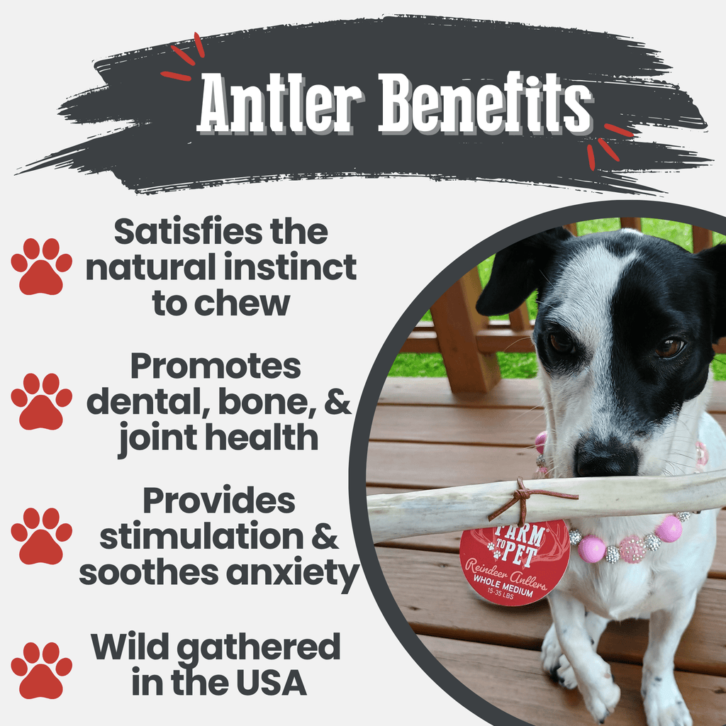 Reindeer Antler Dog Chews | Organic Chews for Dogs - Elite Pet Collective