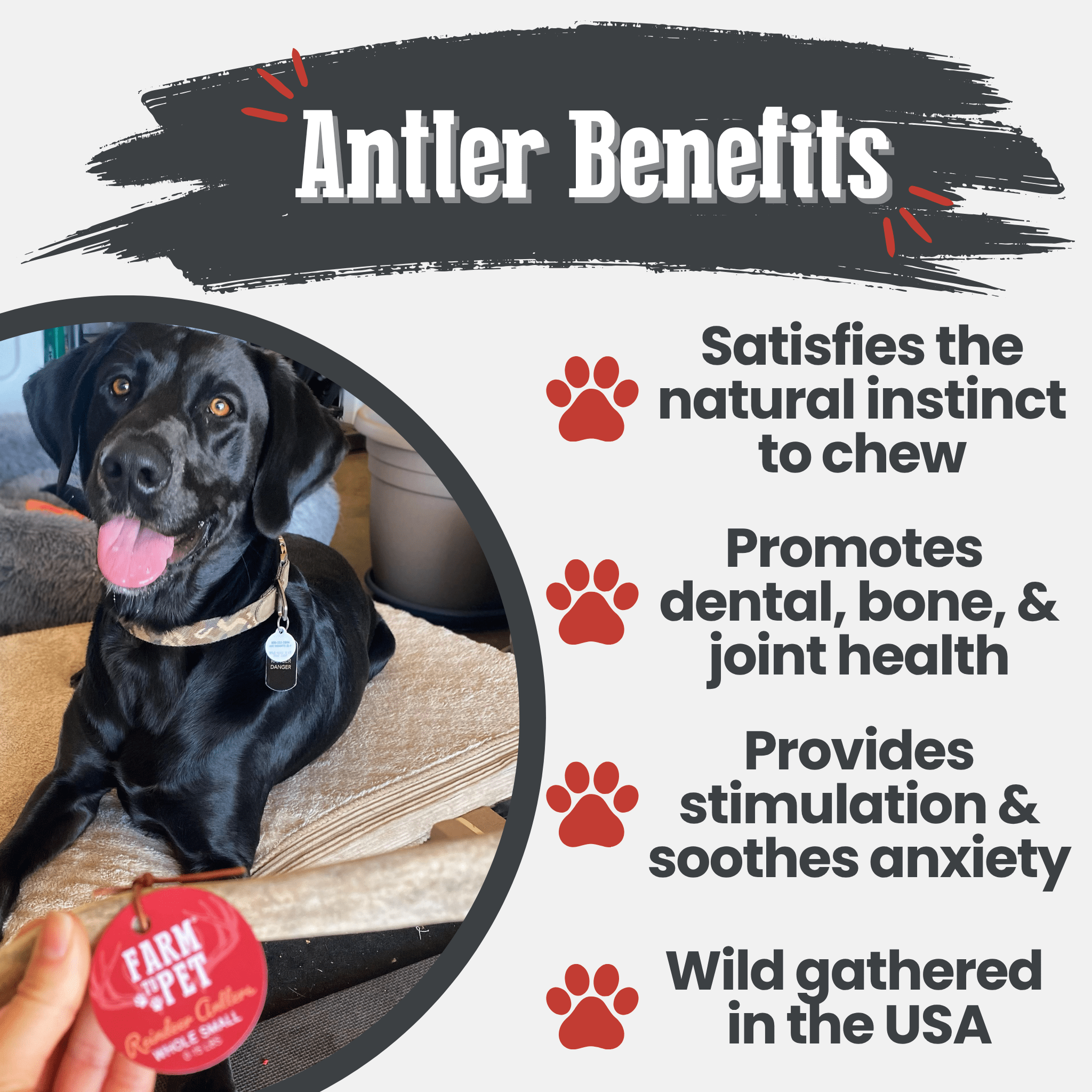 Reindeer Antler Dog Chews | Organic Chews for Dogs - Elite Pet Collective