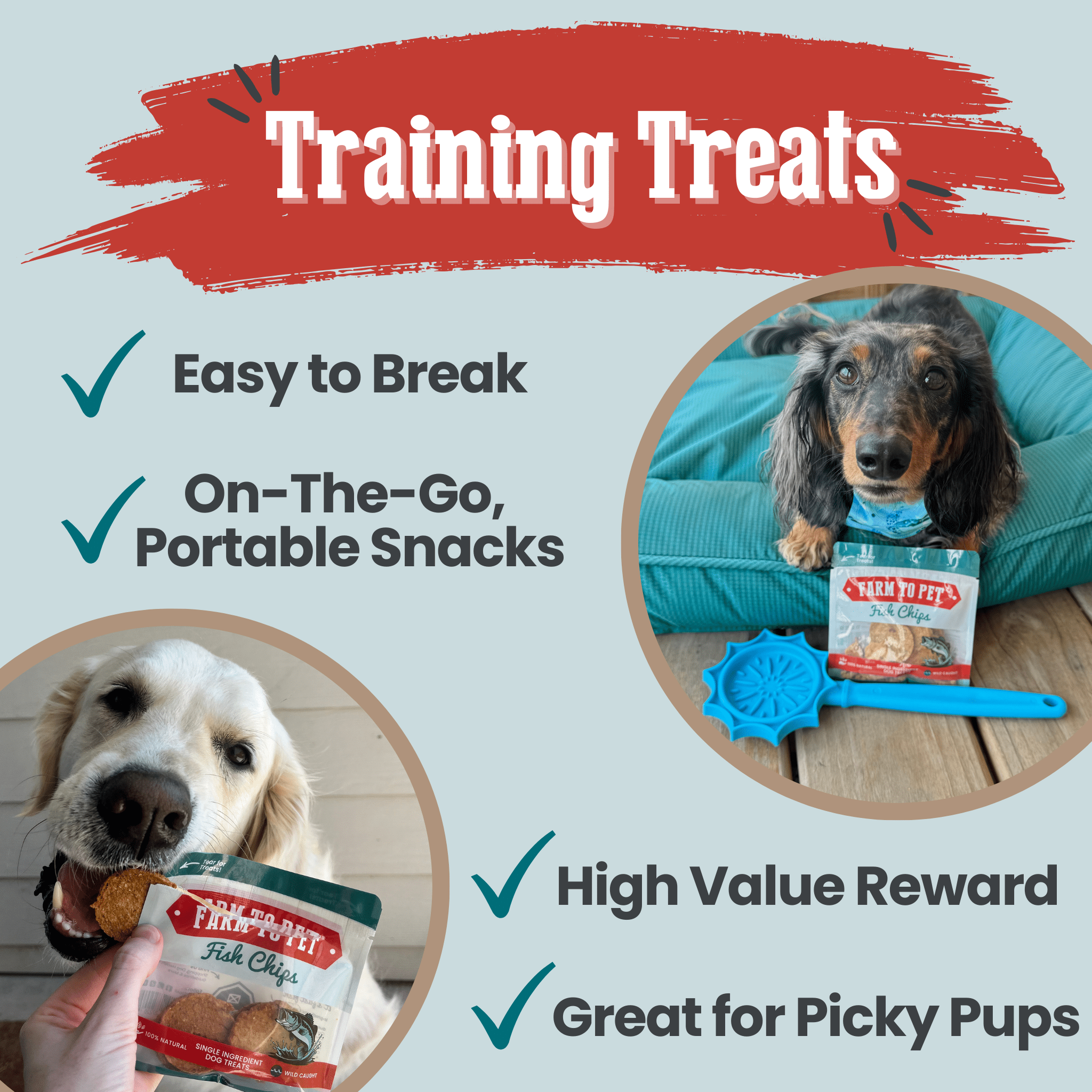 Fish Chips Snack Pack Bundles | Dog Treats for Training & Travel - Elite Pet Collective