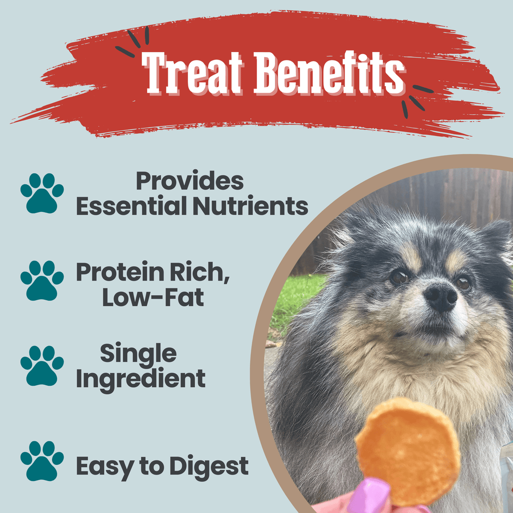 Fish Chips Snack Pack Bundles | Dog Treats for Training & Travel - Elite Pet Collective
