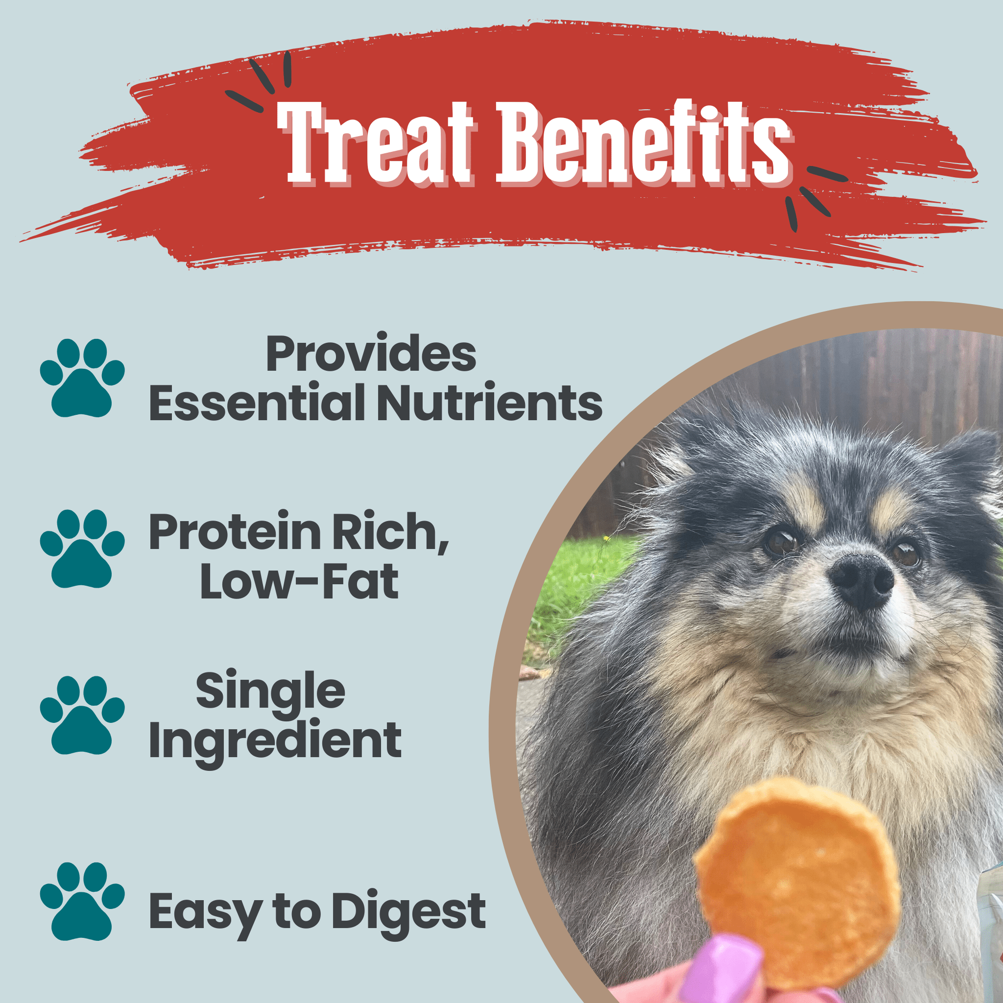 Fish Chips Snack Pack Bundles | Dog Treats for Training & Travel - Elite Pet Collective