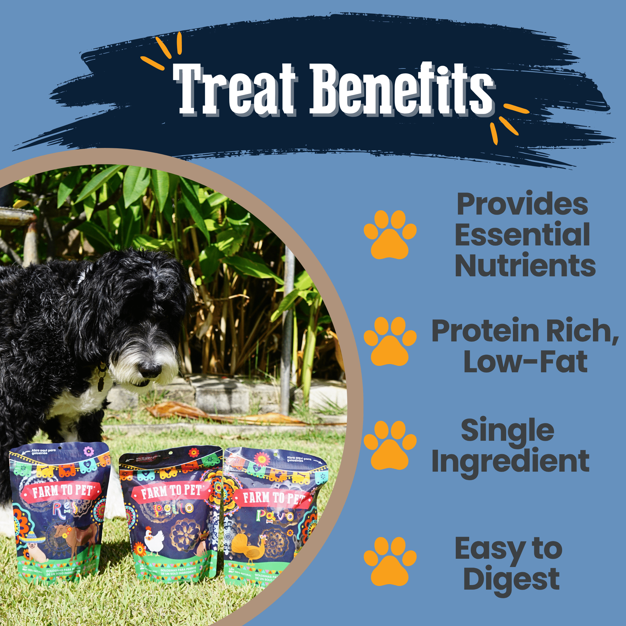 Premios Para Perros Fiesta Pack | Dog Treat Variety Bundle - Elite Pet Collective