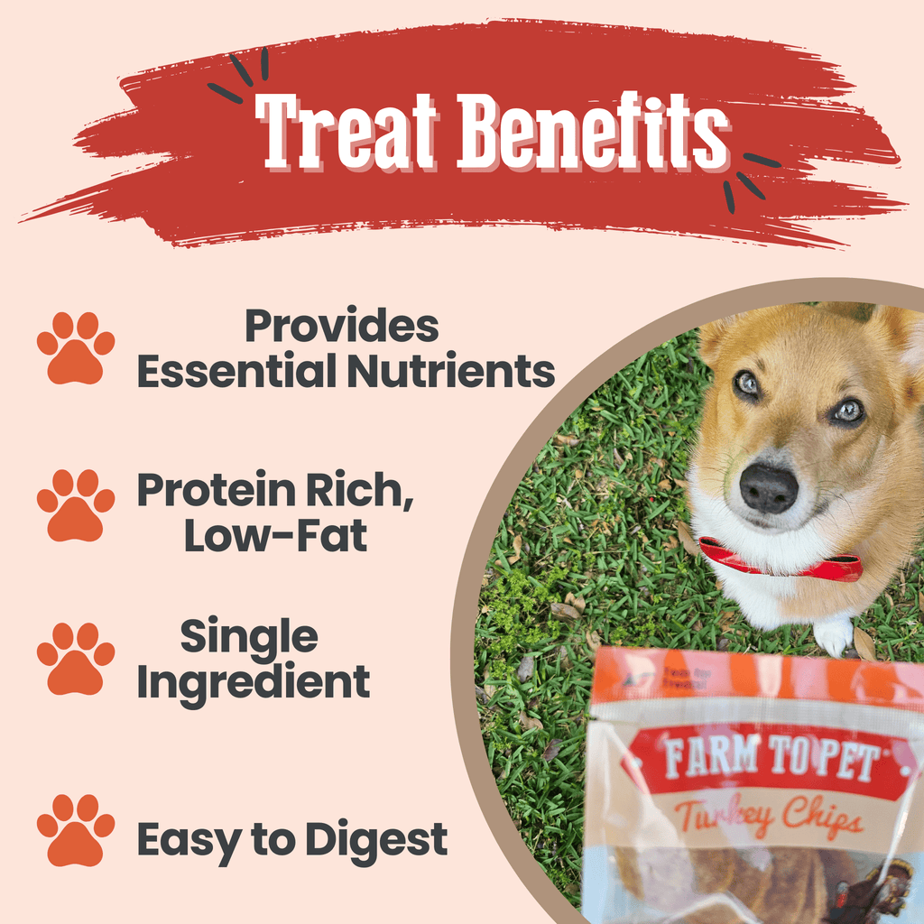 Turkey Chips Snack Pack Bundles | Low Allergen Treats for Training - Elite Pet Collective