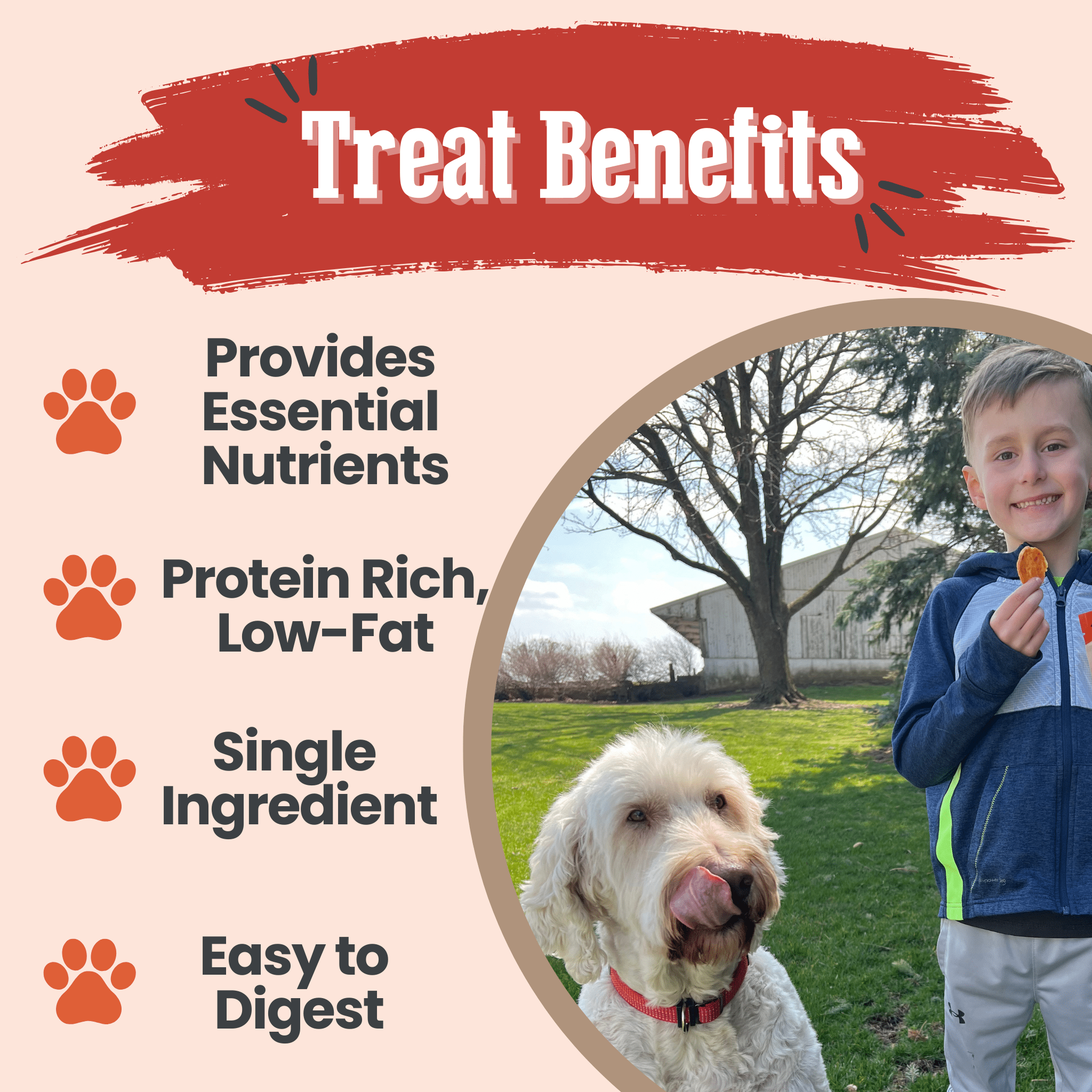Turkey Chips for Dogs | All-Natural Single-Ingredient Healthy Dog Treats - Elite Pet Collective