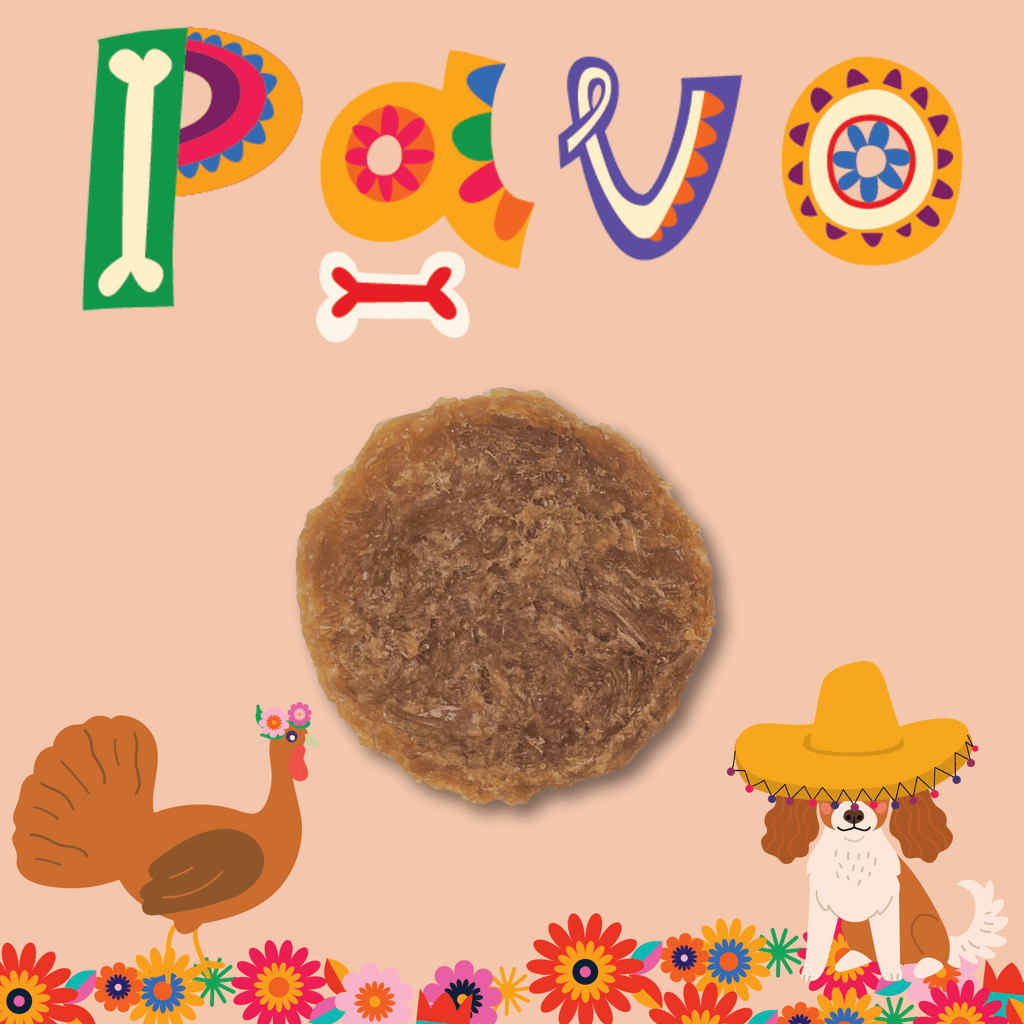 Premios Para Perros Fiesta Pack | Dog Treat Variety Bundle - Elite Pet Collective