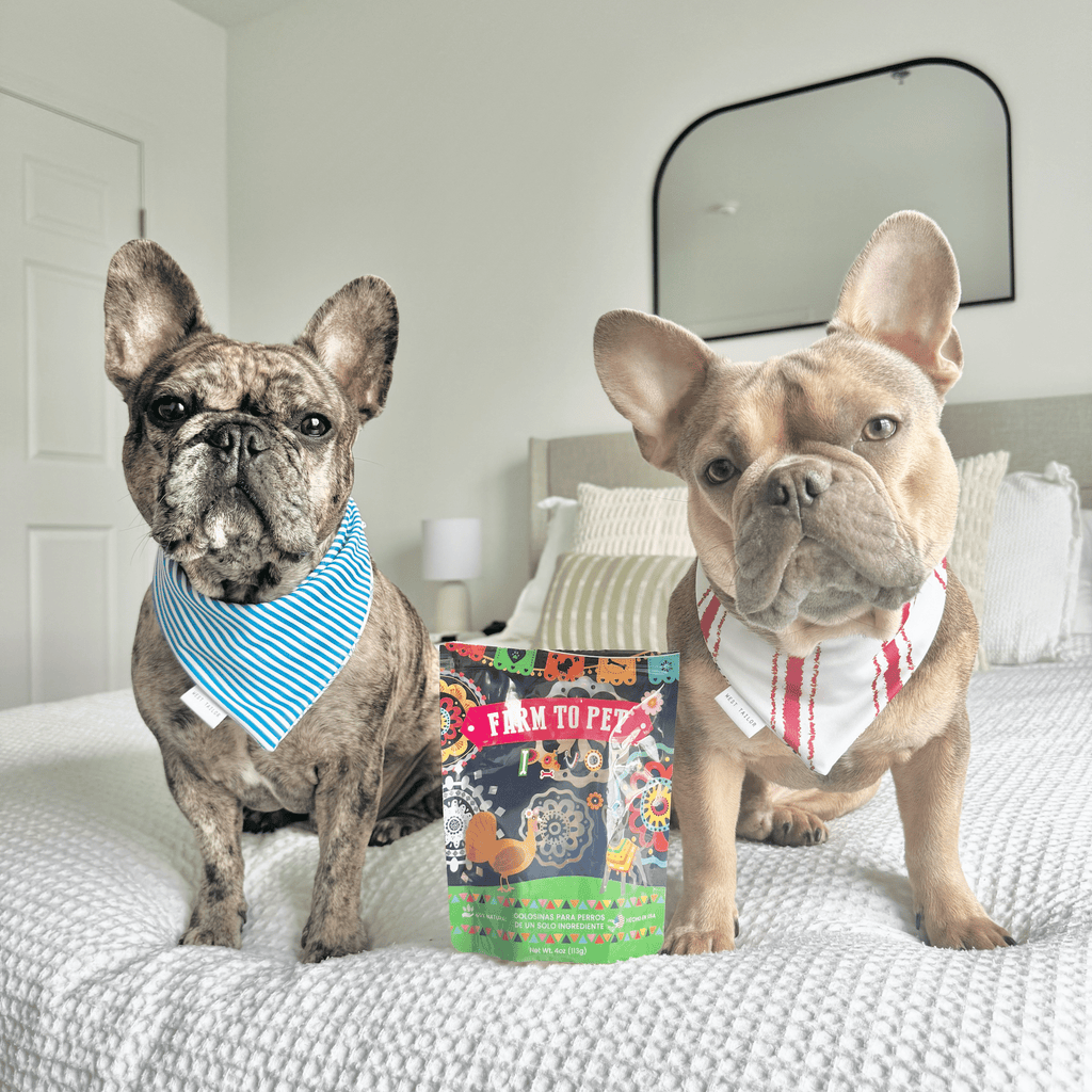 Premios Para Perros Fiesta Pack | Dog Treat Variety Bundle - Elite Pet Collective