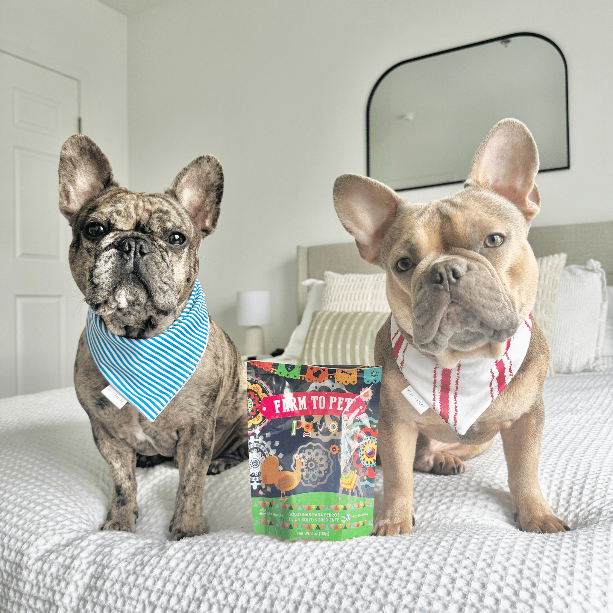 Premios Para Perros Fiesta Pack | Dog Treat Variety Bundle - Elite Pet Collective