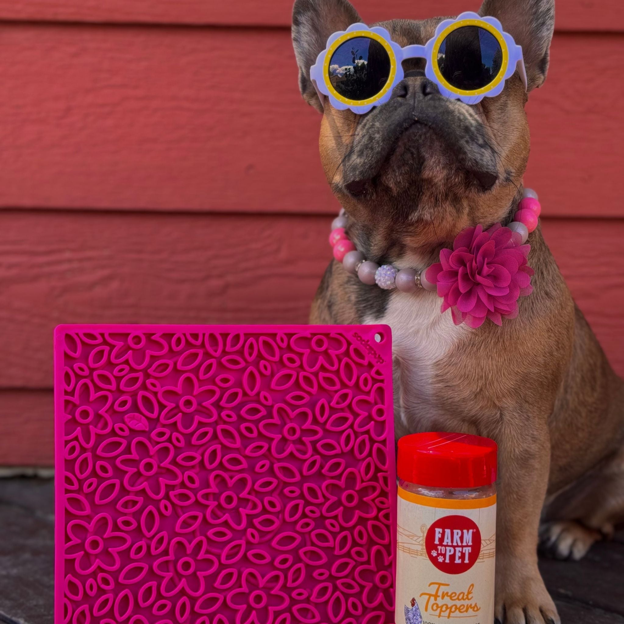 Dog Lick Mats - Elite Pet Collective