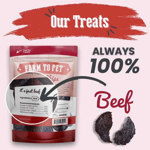 Beef Chips Dog Treats | Single-Ingredient Healthy Treats for Dogs - Elite Pet Collective