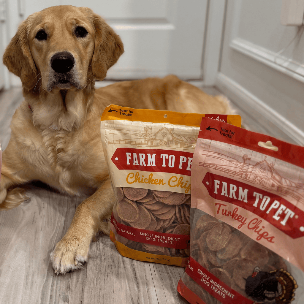 Turkey & Chicken Chips for Dogs Treat Duo | Single-Ingredient Poultry Treats for Dogs - Elite Pet Collective
