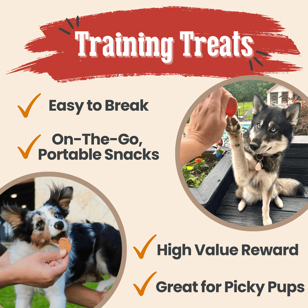 Turkey & Chicken Chips for Dogs Treat Duo | Single-Ingredient Poultry Treats for Dogs - Elite Pet Collective