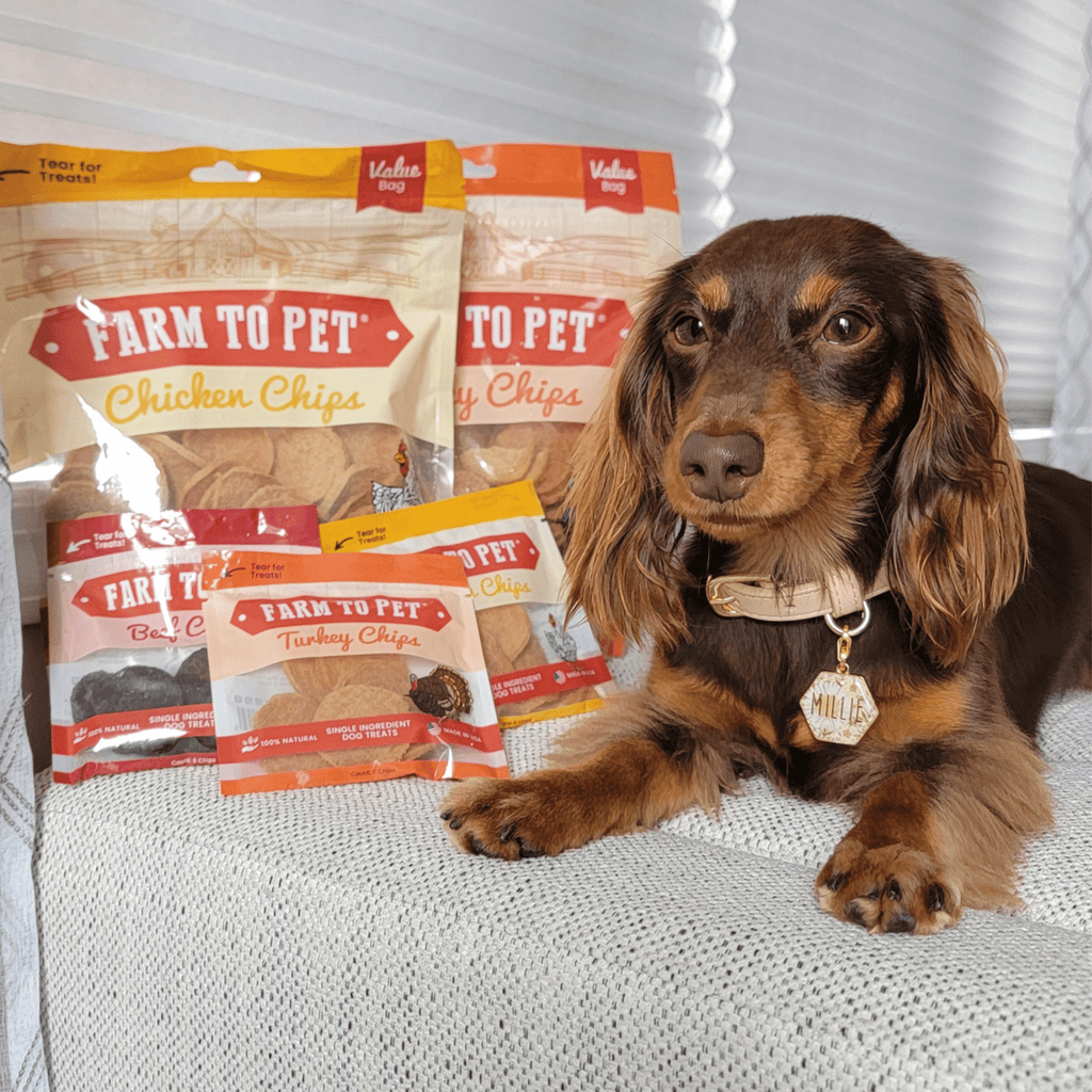 Turkey & Chicken Chips for Dogs Treat Duo | Single-Ingredient Poultry Treats for Dogs - Elite Pet Collective