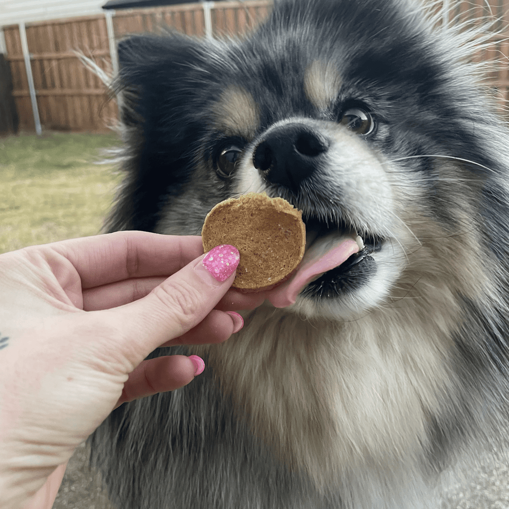 Fish Chips for Dogs | Wild-Caught Fish Dog Treats - Elite Pet Collective