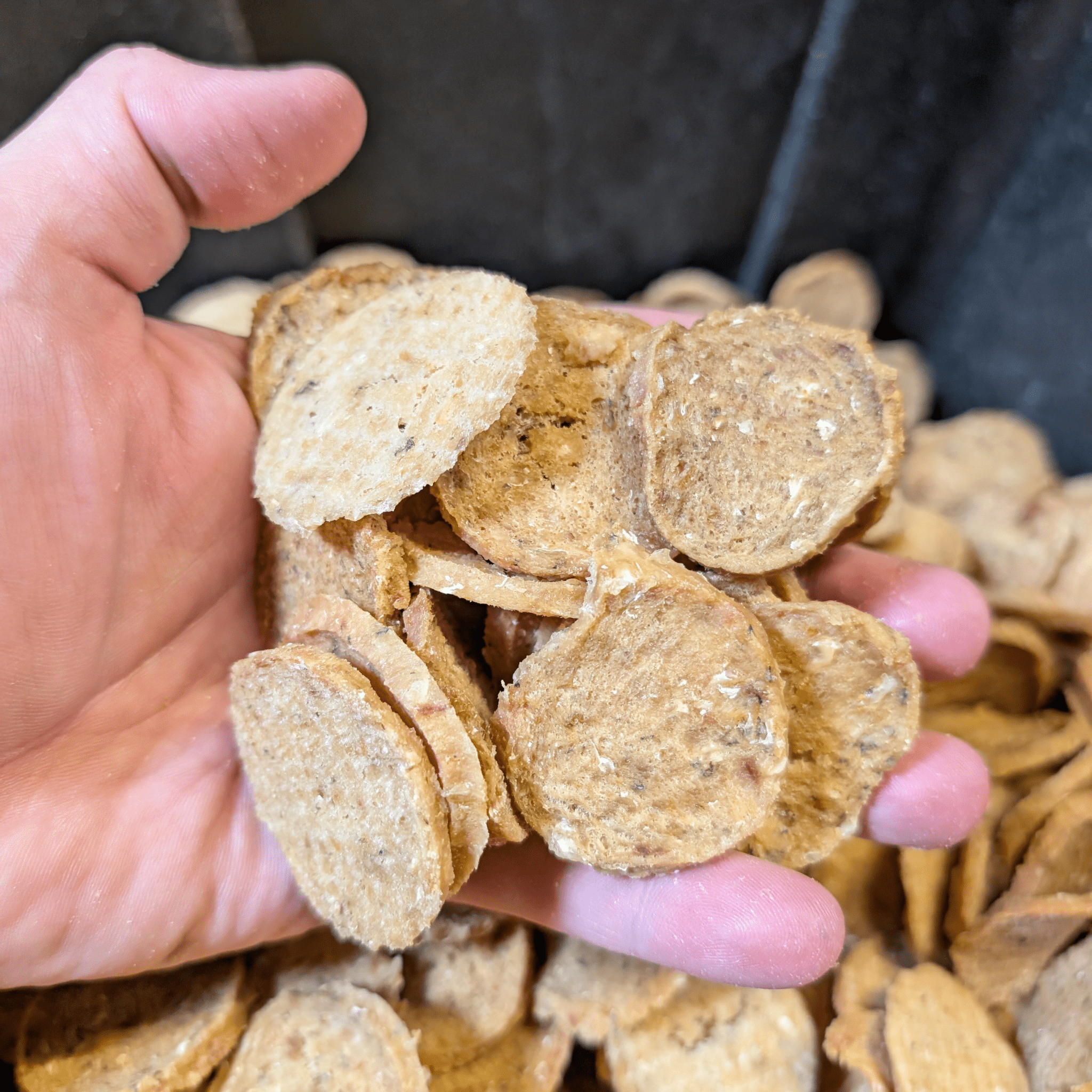Fish Chips for Dogs | Wild-Caught Fish Dog Treats - Elite Pet Collective