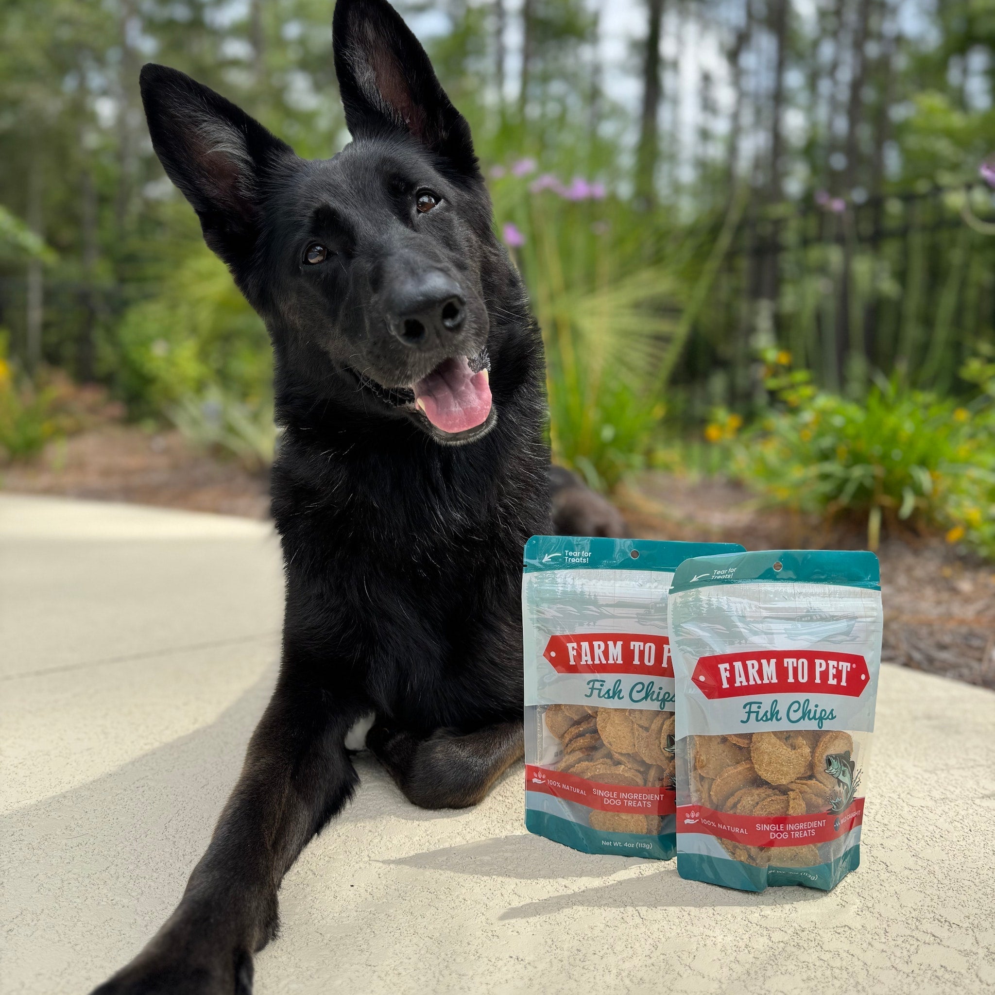 Fish Chips for Dogs | Wild-Caught Fish Dog Treats - Elite Pet Collective