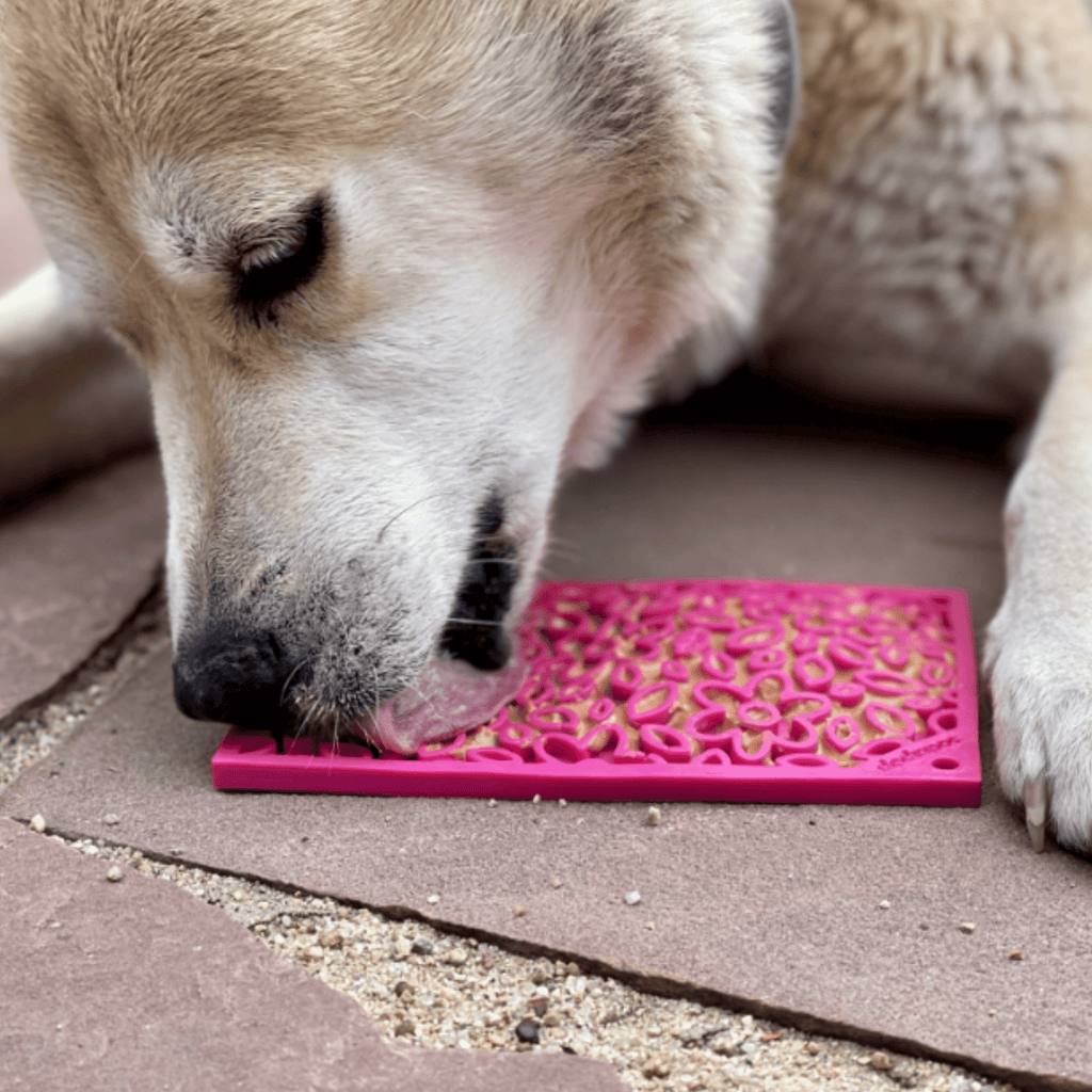Lick Mats for Cats and Small Dogs - Elite Pet Collective