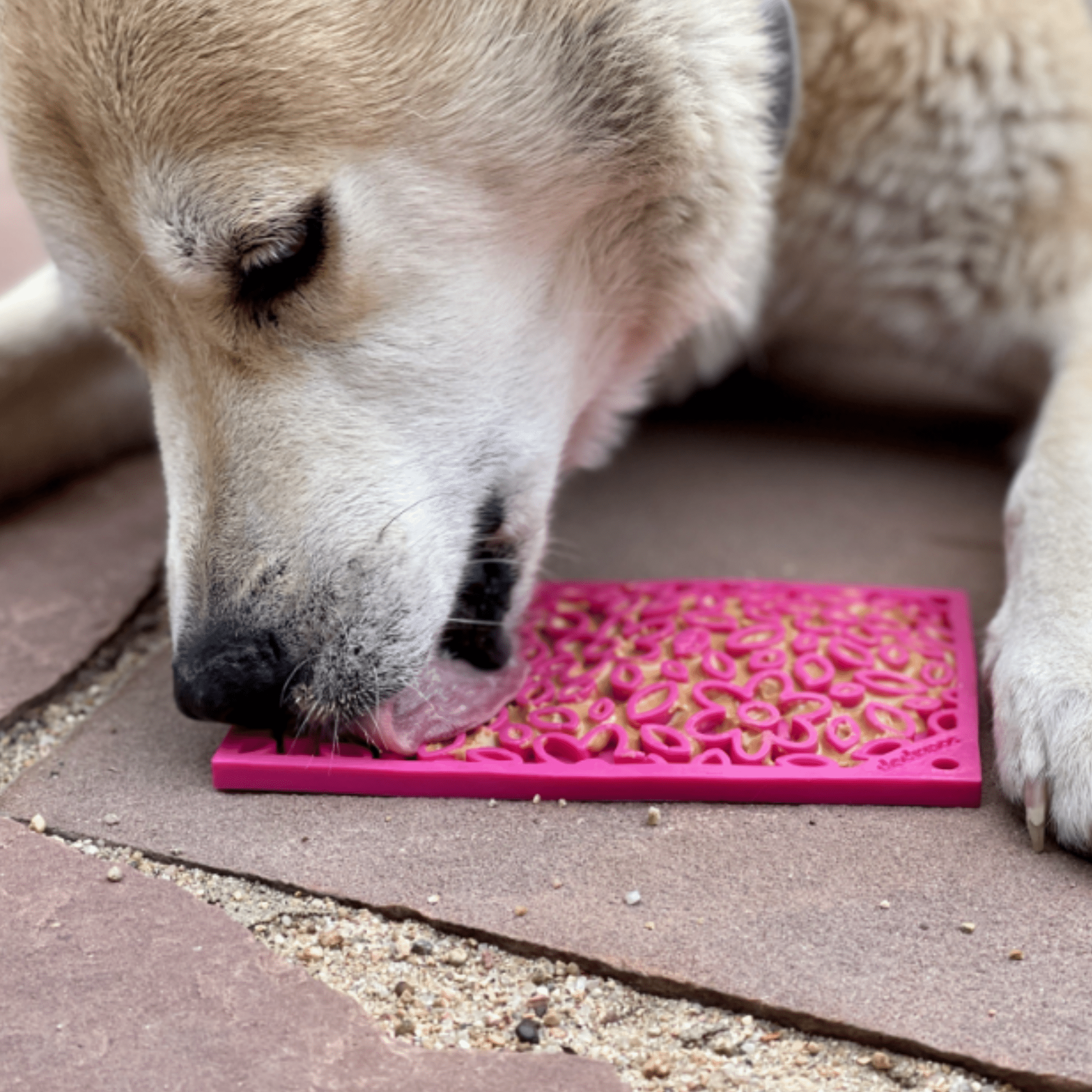 Lick Mats for Cats and Small Dogs - Elite Pet Collective