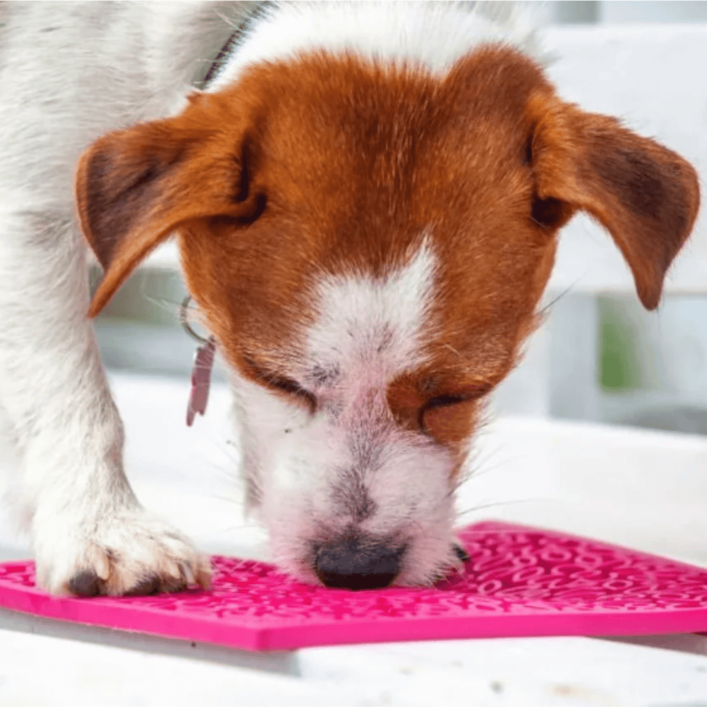 Lick Mats for Cats and Small Dogs - Elite Pet Collective