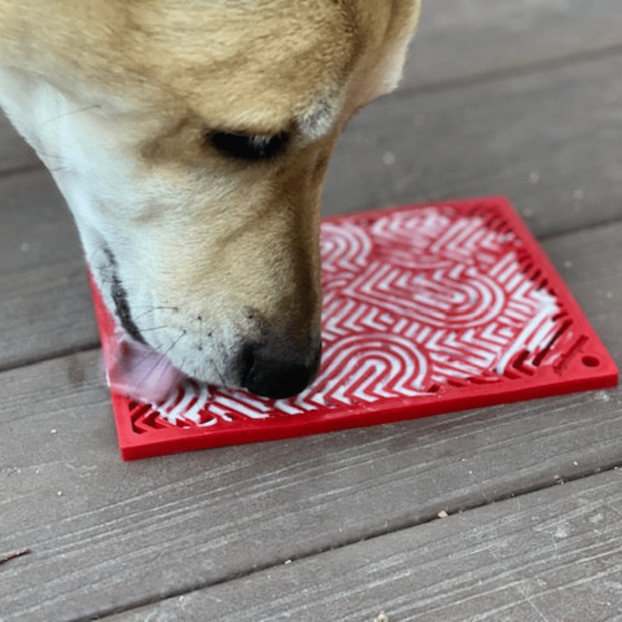 Lick Mats for Cats and Small Dogs - Elite Pet Collective