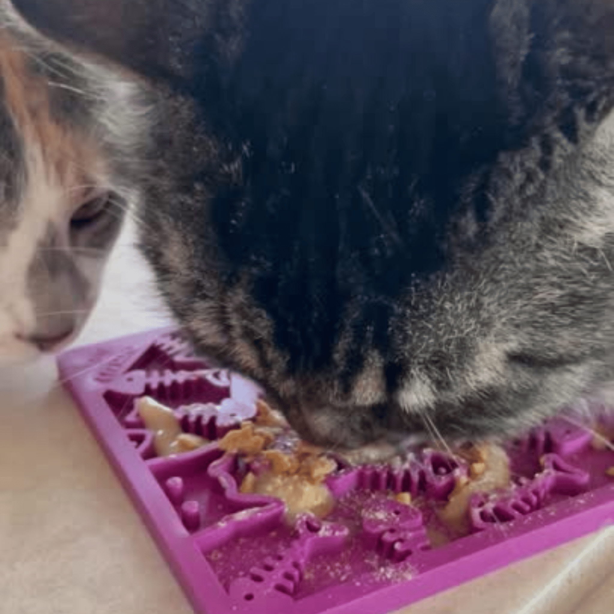 Lick Mats for Cats and Small Dogs - Elite Pet Collective